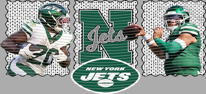 16oz team-NFL 3593